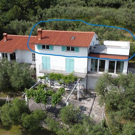 Apartament House Among Olive Trees With A Sea View 1 Ankaran Zewnętrze zdjęcie