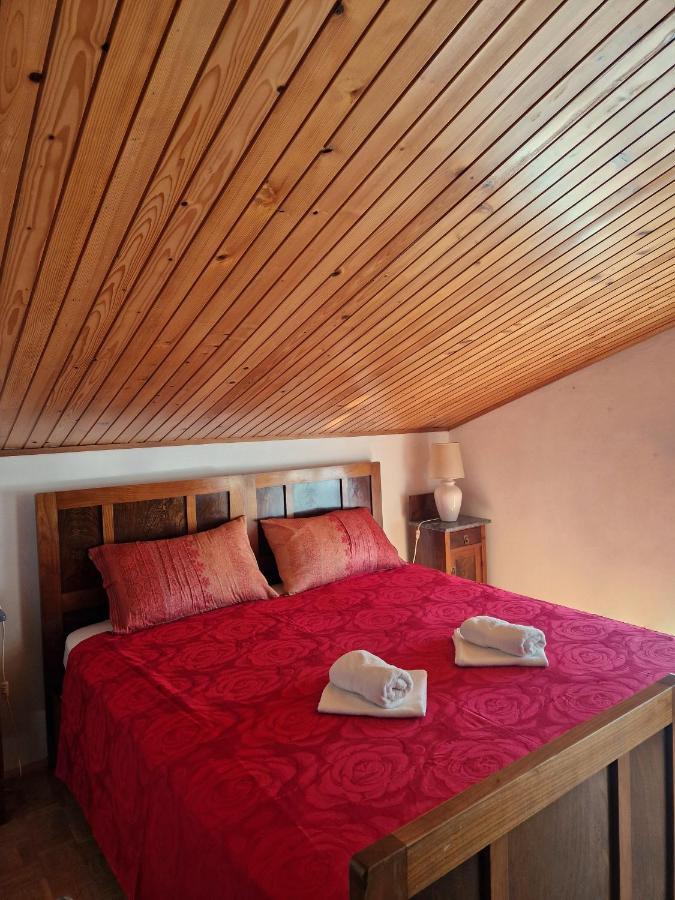 Apartament House Among Olive Trees With A Sea View 1 Ankaran Zewnętrze zdjęcie