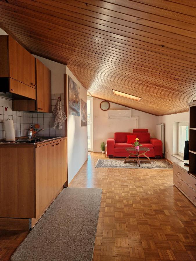 Apartament House Among Olive Trees With A Sea View 1 Ankaran Zewnętrze zdjęcie