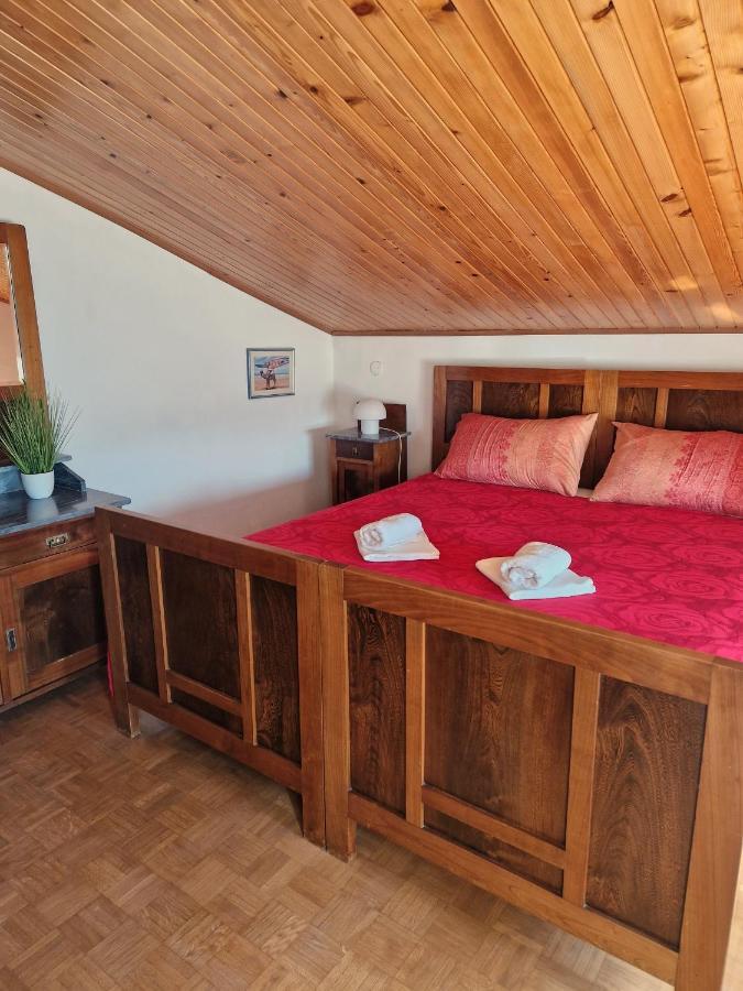 Apartament House Among Olive Trees With A Sea View 1 Ankaran Zewnętrze zdjęcie