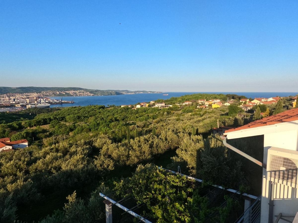 Apartament House Among Olive Trees With A Sea View 1 Ankaran Zewnętrze zdjęcie