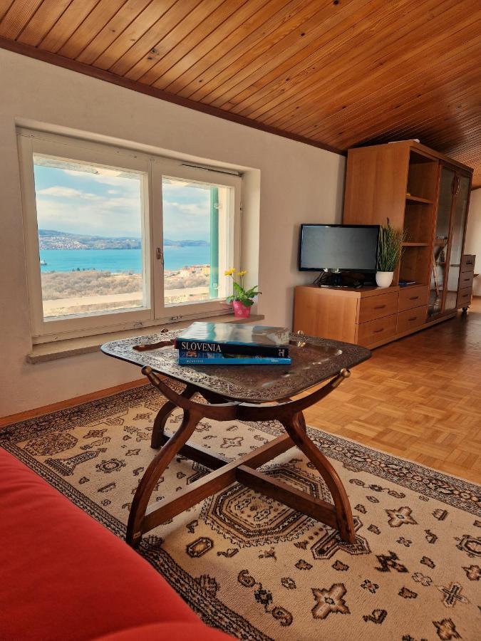 Apartament House Among Olive Trees With A Sea View 1 Ankaran Zewnętrze zdjęcie