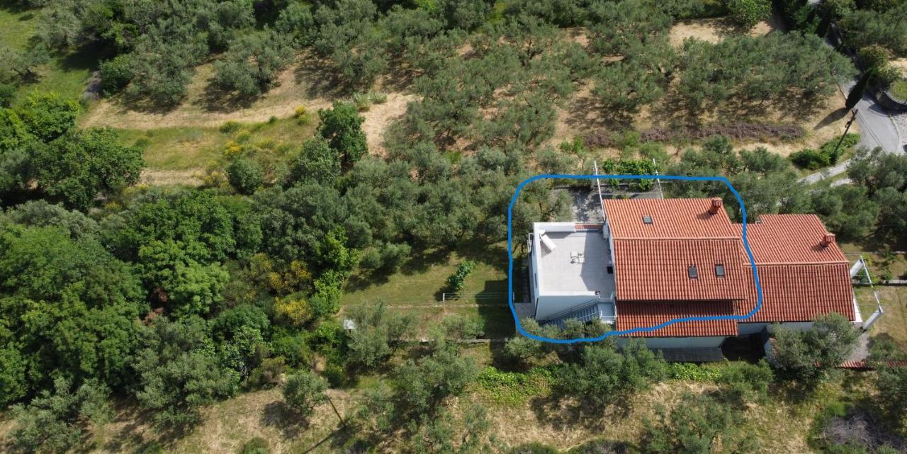 Apartament House Among Olive Trees With A Sea View 1 Ankaran Zewnętrze zdjęcie