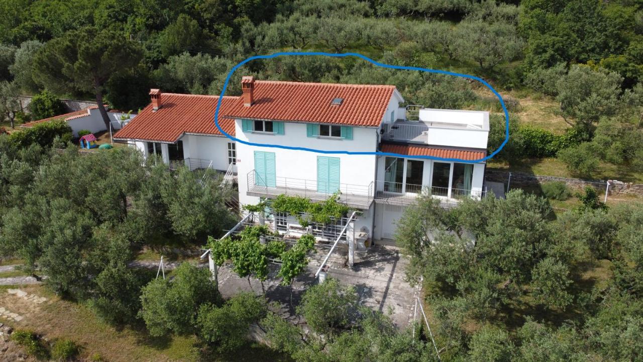 Apartament House Among Olive Trees With A Sea View 1 Ankaran Zewnętrze zdjęcie