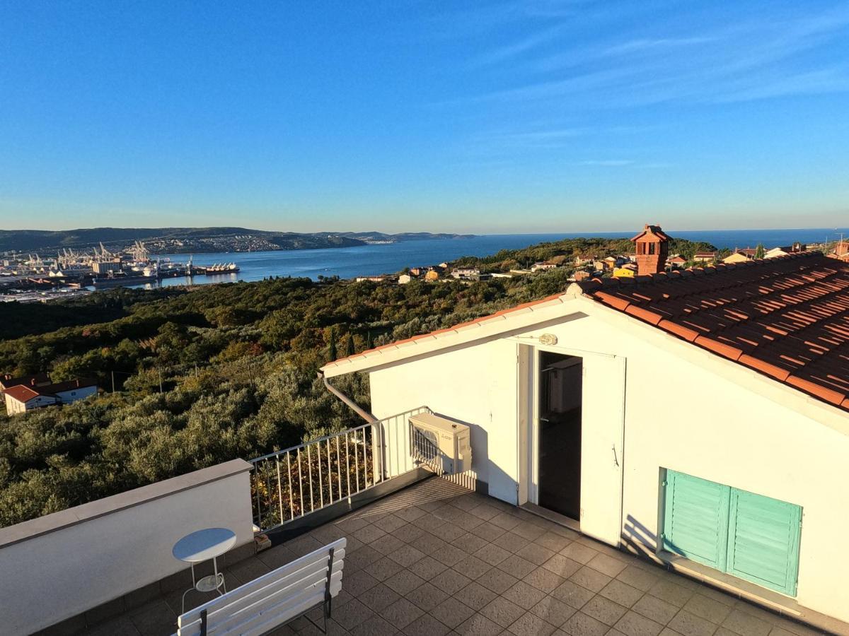 Apartament House Among Olive Trees With A Sea View 1 Ankaran Zewnętrze zdjęcie
